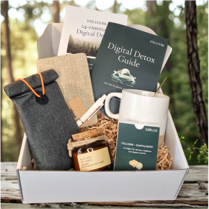 Lilla boxen – Stund av stillhet